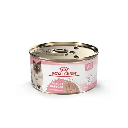 Royal Canin Feline Health Nutrition Mother & Babycat Ultra Soft Mousse in Sauce Canned Cat Food