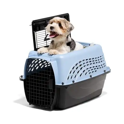 Petmate Two-Door Dog and Cat Kennel
