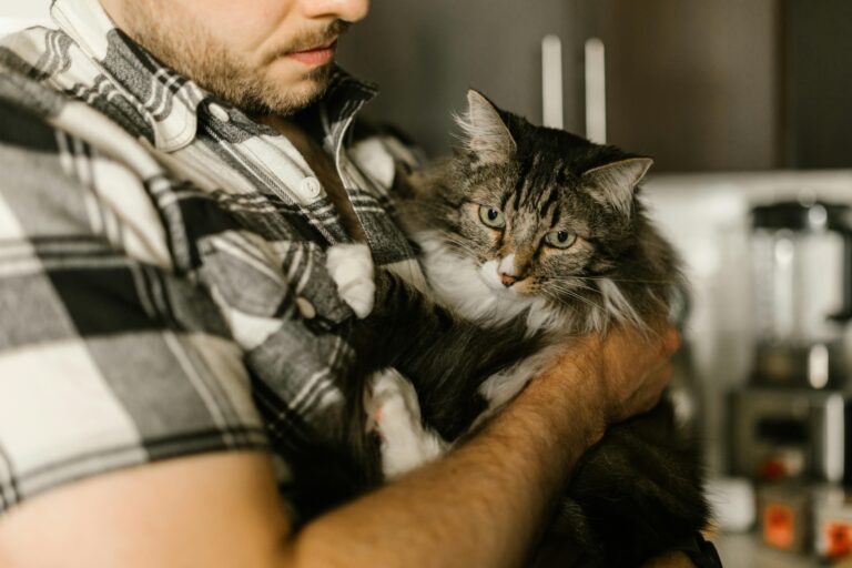 The Benefits of Dating a Cat Daddy